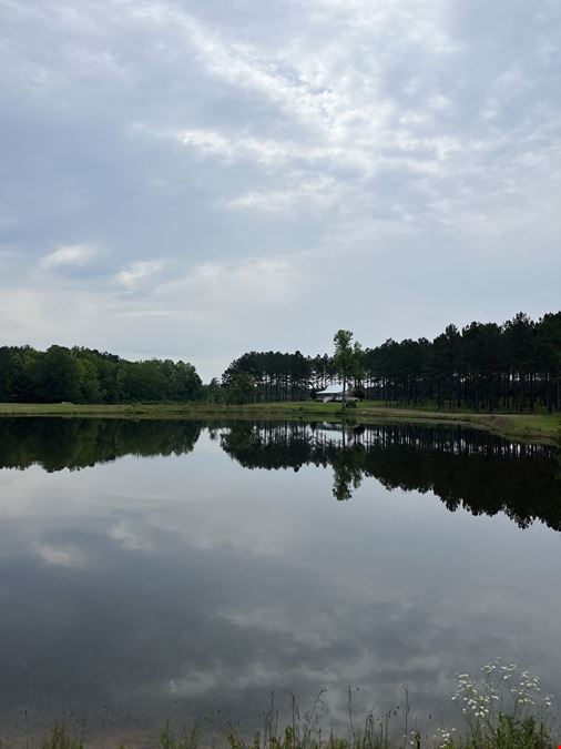 182 Acres Timberland with Cabin & Ponds