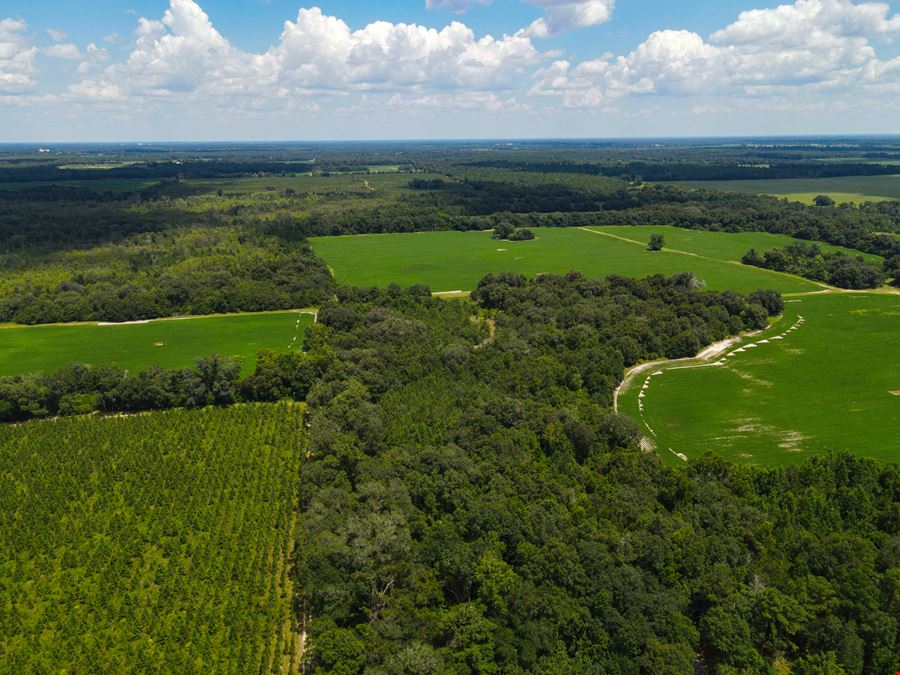Marianna Farm and Hunting