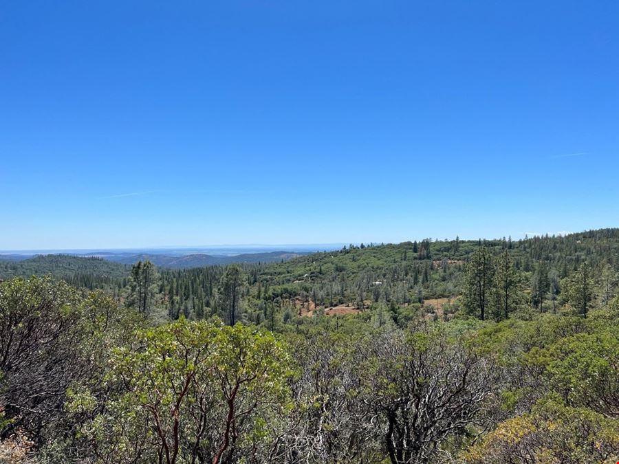 ±10 Acres of Level Land in Forbestown, CA