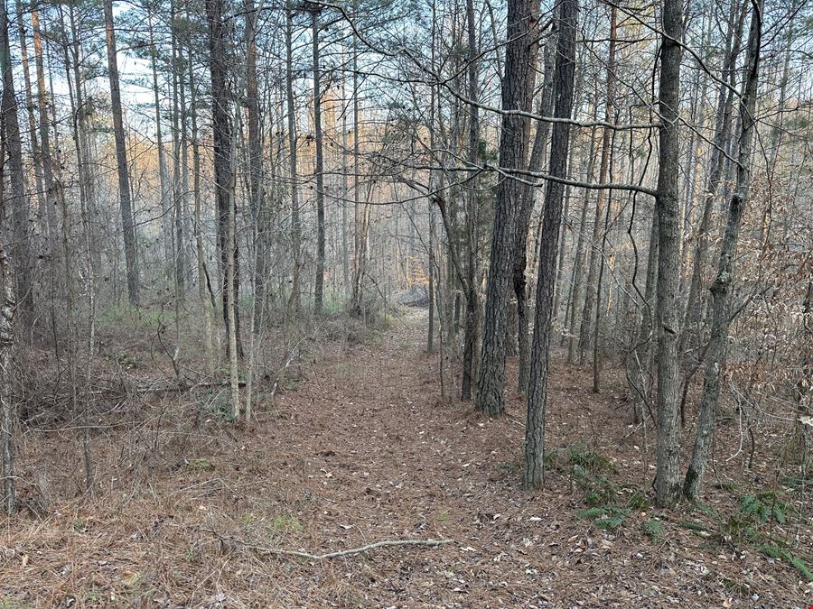 Mt Zion Road - 34.26 Acres