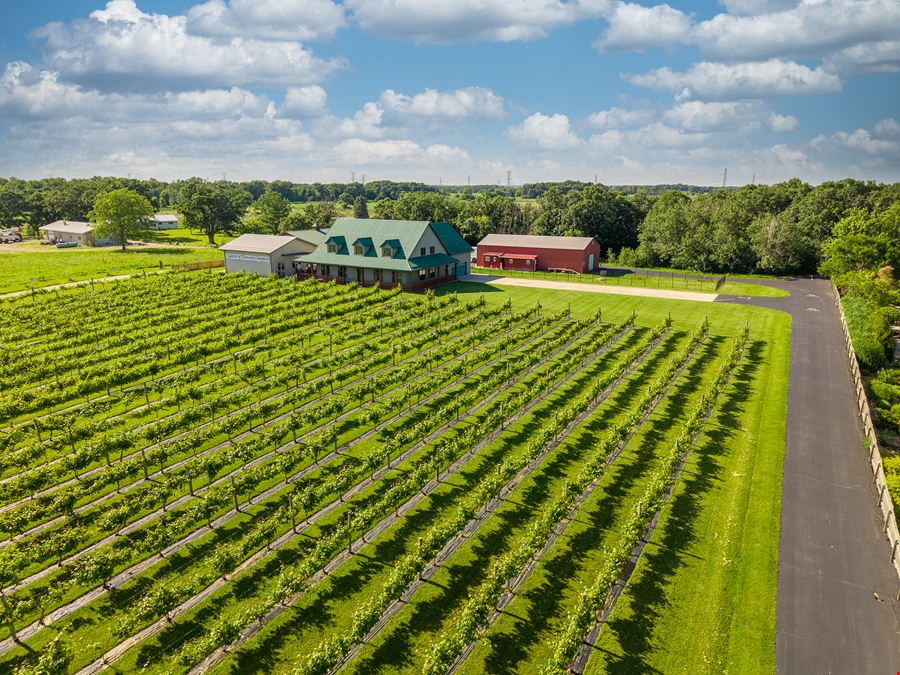 Spirits of Norway Vineyard