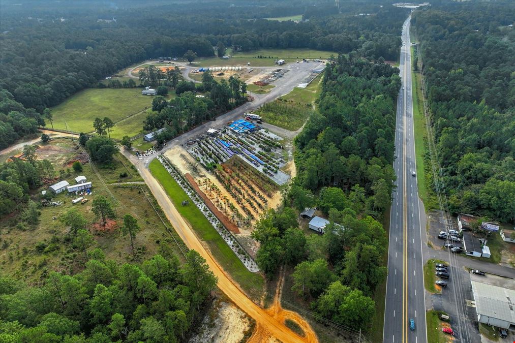 Southern Carolina Palms & More - Nursery & Landscape
