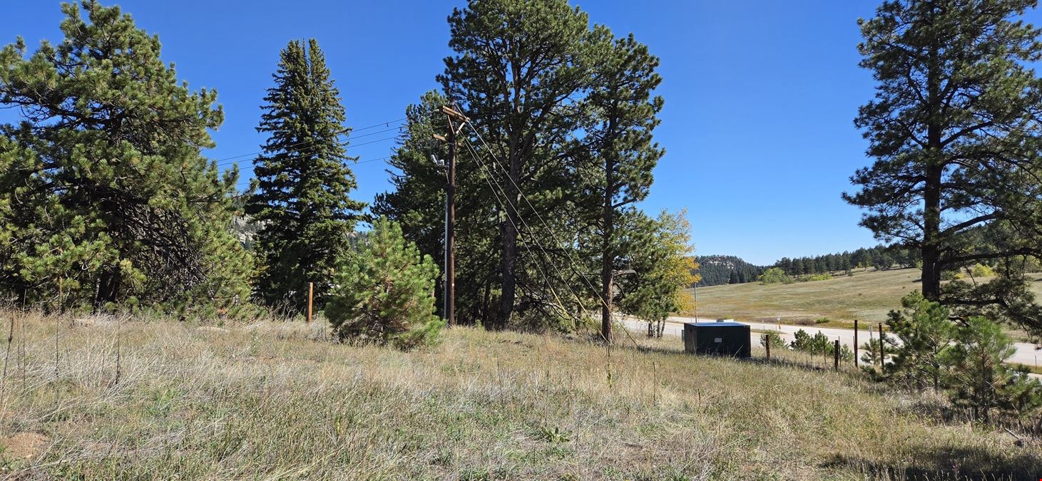 TBD Conifer Road