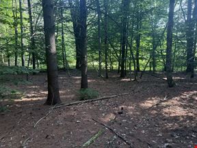375 Ormsbee Rd