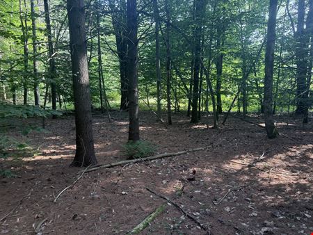 Preview of VacantLand space for Sale at 375 Ormsbee Rd