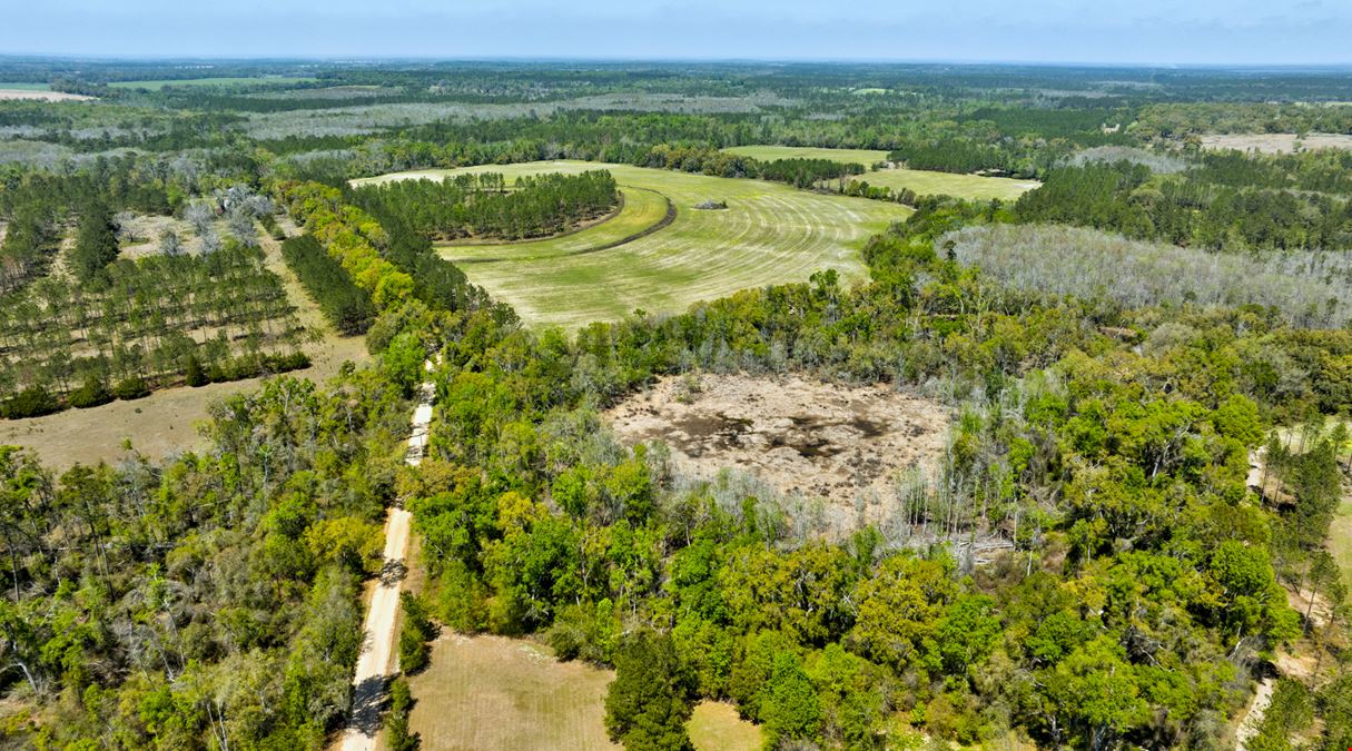 Brooks County Timberland