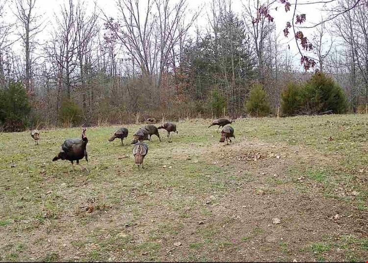 Strawberry River Ranch and Hunting Camp