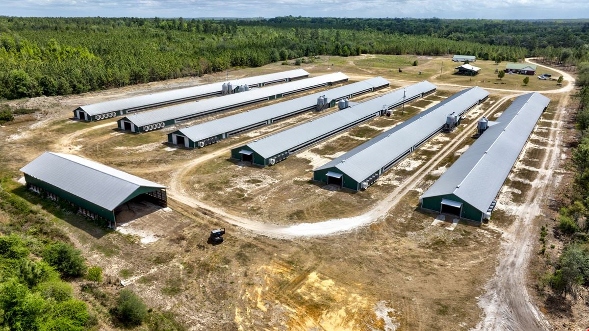 Timber Ridge Farm