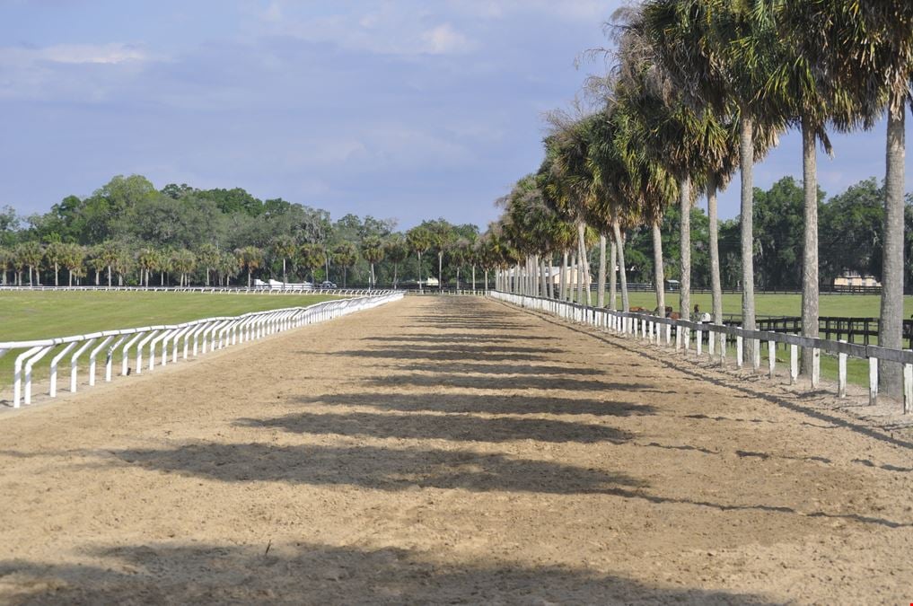 Ocala Stable and Racetrack