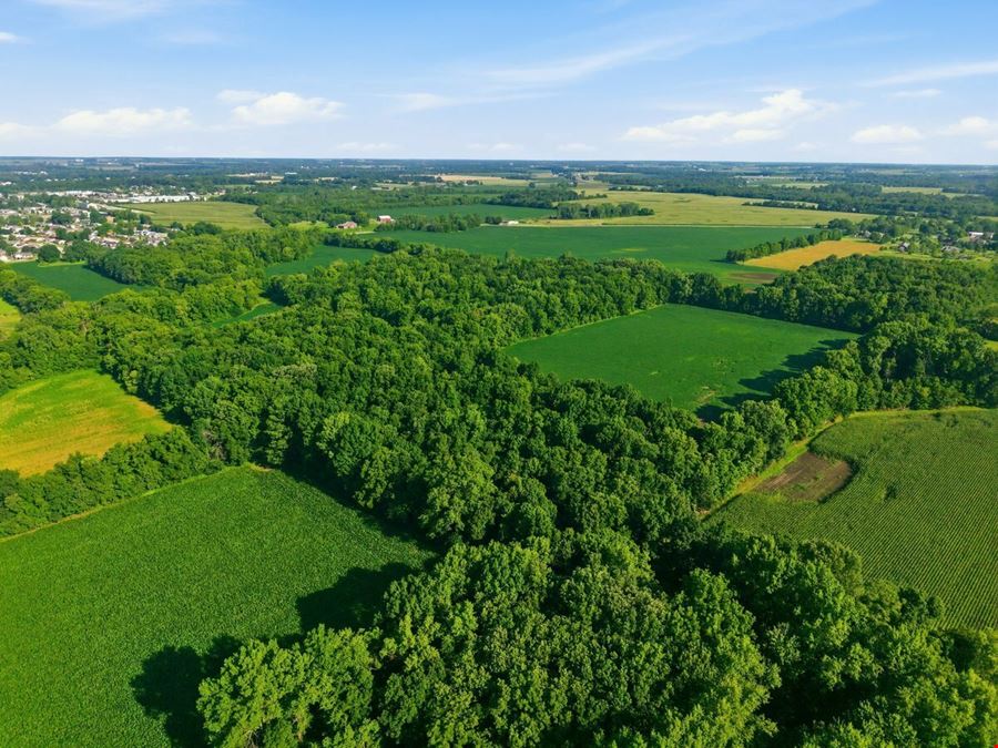 Development Opportunity