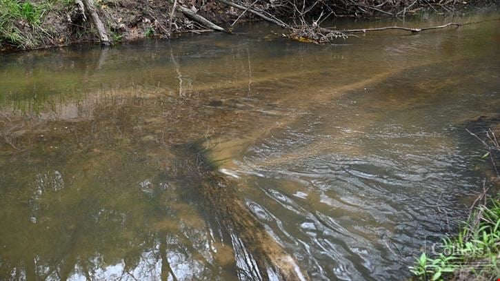 For Sale I ±77 Acres On Clear Creek