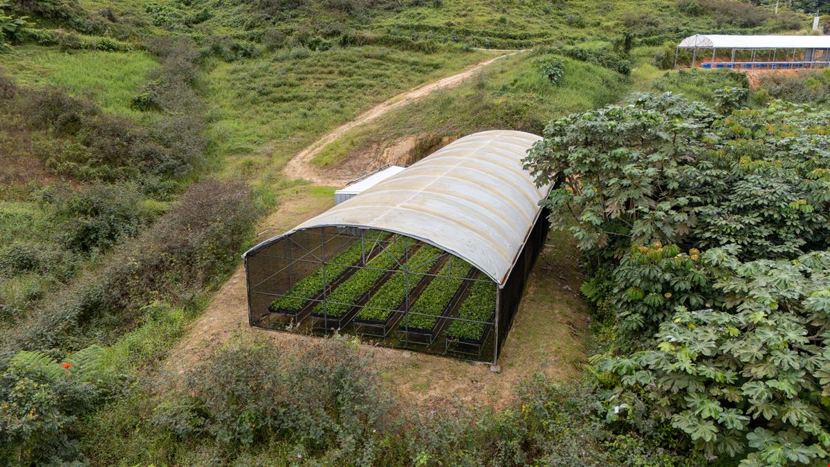 Turnkey Agricultural Operation w. Eco Tourism Potential @ Hacienda Montesol - For Sale