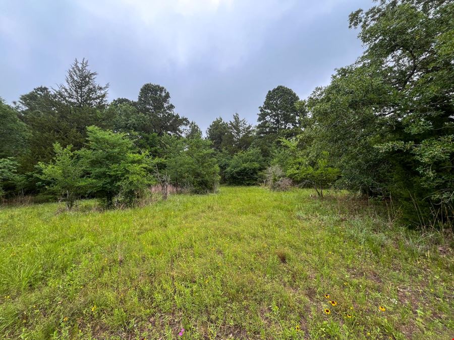 8 Ranchero Road