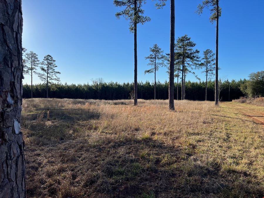 Lily Pad Ranch 1,472± Acres in Northwest Florida – Premier Recreational & Timber Investment Tract