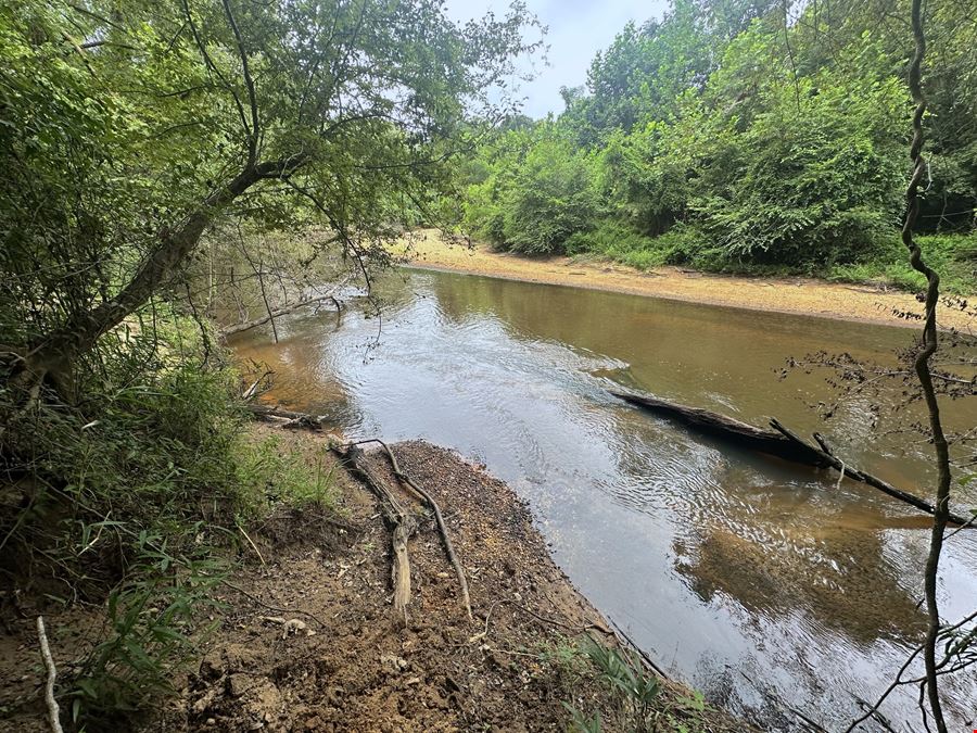 Craig Hill Hunting & Timber Tract