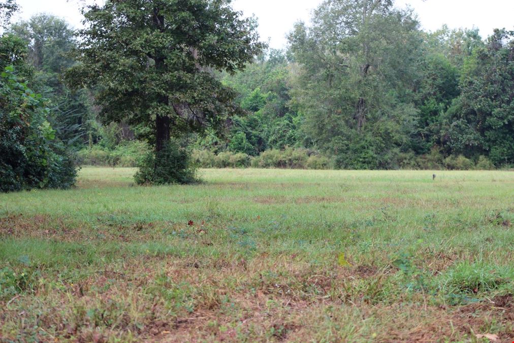 +/- 420 GOLF COURSE FRONTING LAND DEV OPP- 938 Minglewood Road, Liberty, TX 77575