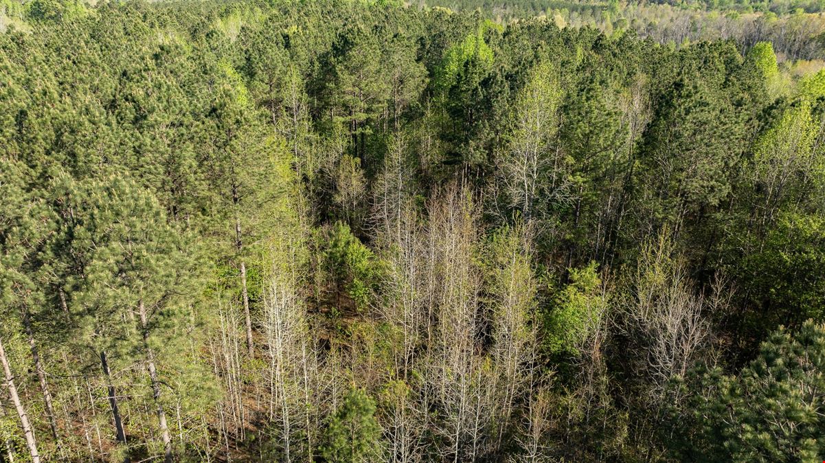 ± 10.16 Unrestricted Acres in Laurens, SC