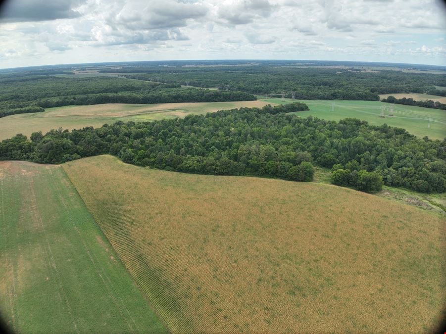Prime Residential/Commercial Development Land