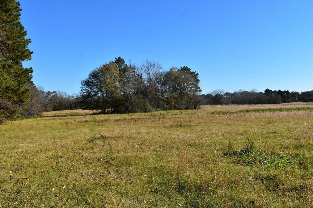 Saddlebrook Farm