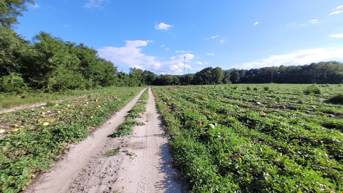 9.51 Acre Parcel off American Legion Road