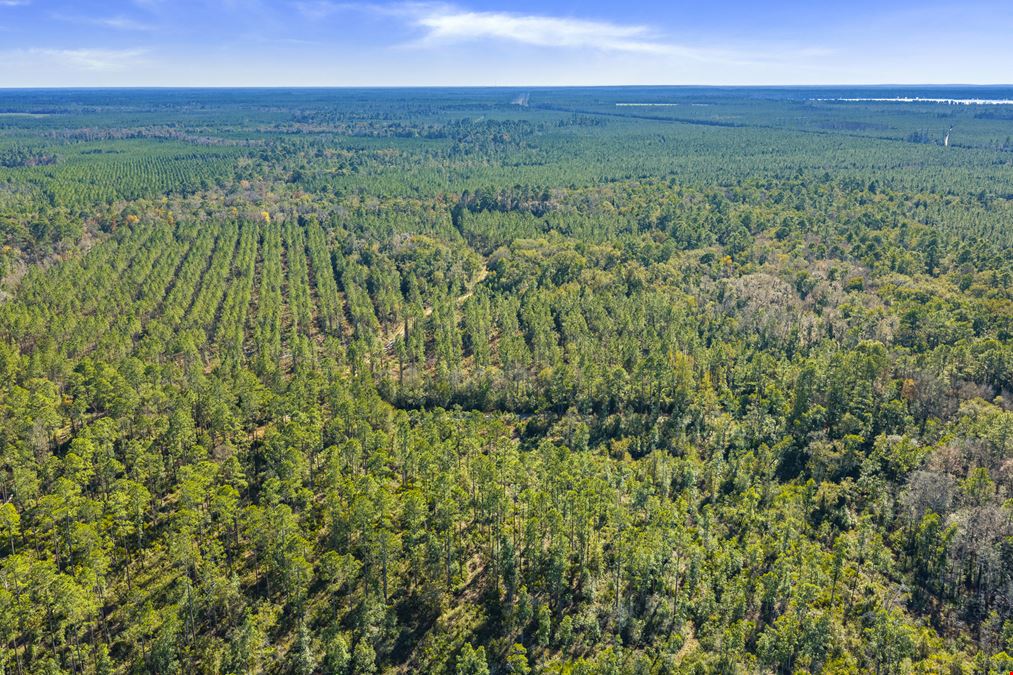 Clay County Timber and Recreation