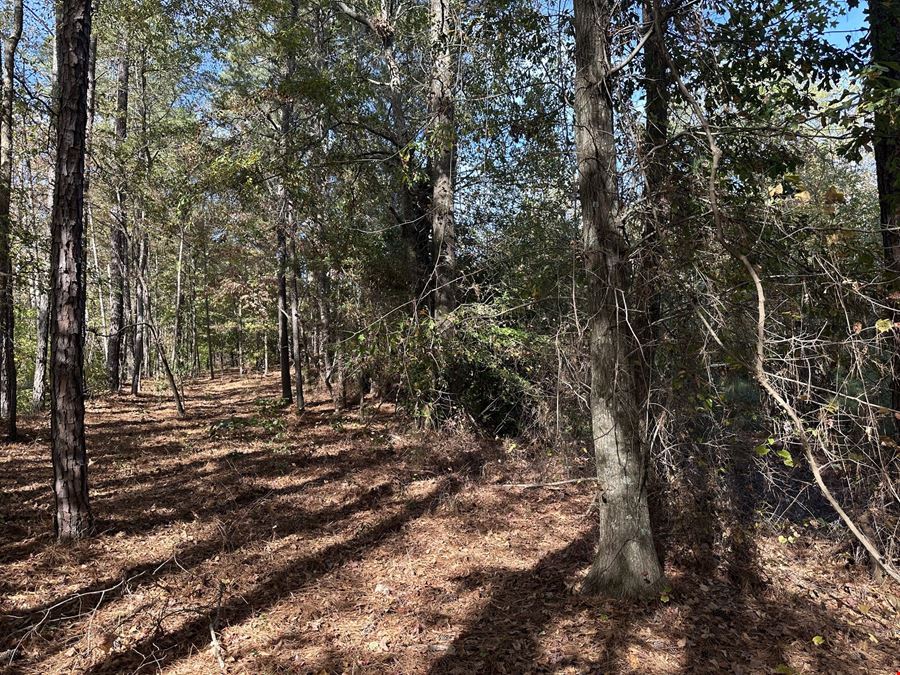 Teal Road - 21.88 Acres