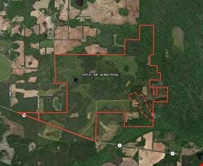 Lily Pad Ranch 1,472± Acres in Northwest Florida – Premier Recreational & Timber Investment Tract