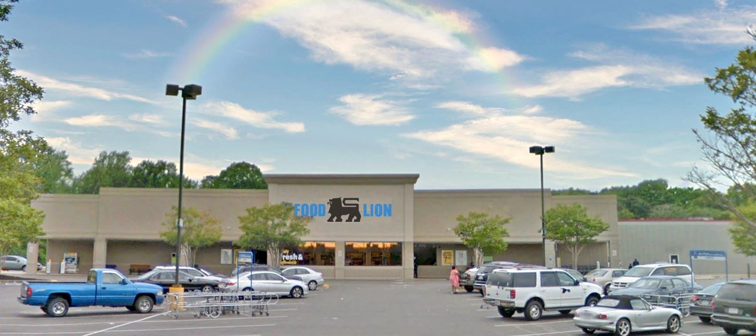 Food Lion Shopping Center