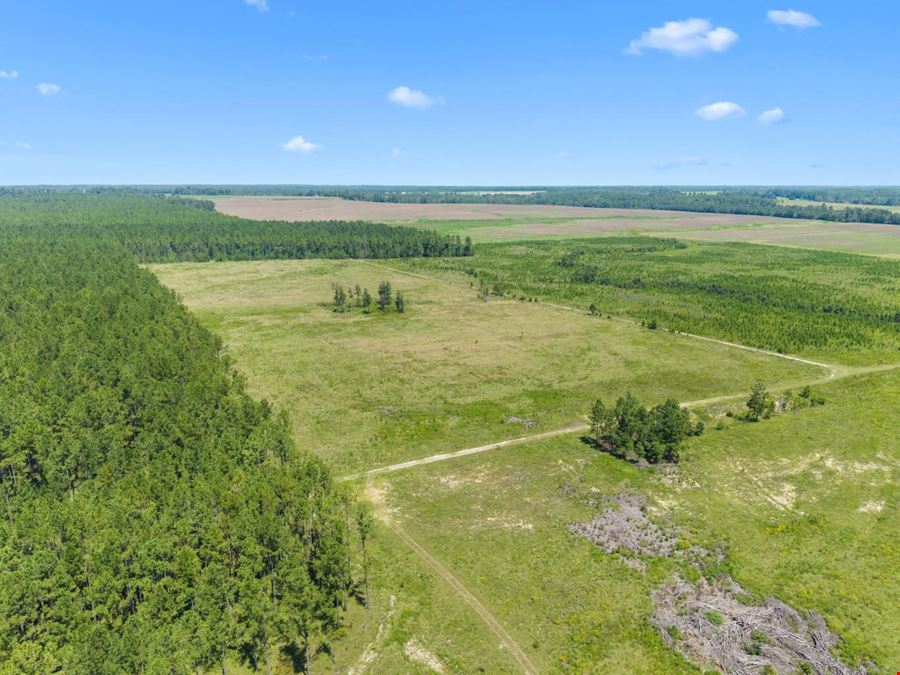 1726 GA Hwy 147