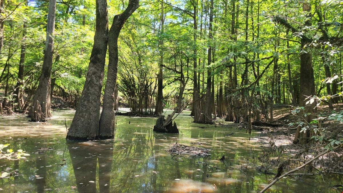 Austill Ferry Tract