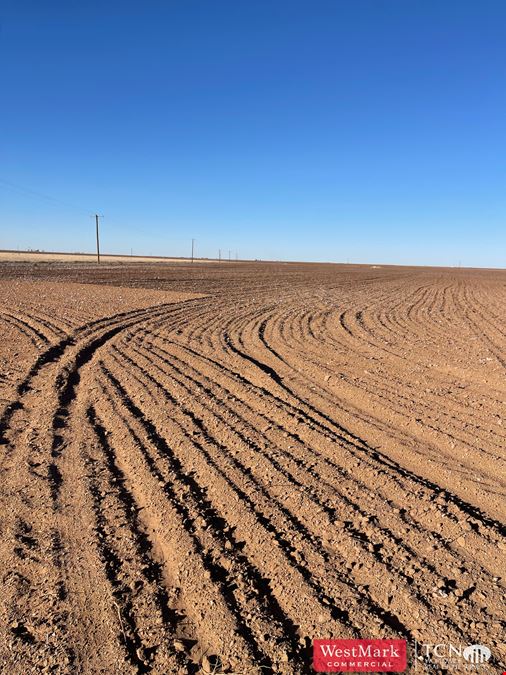 640 Acres North Lynn Co., TX 79373