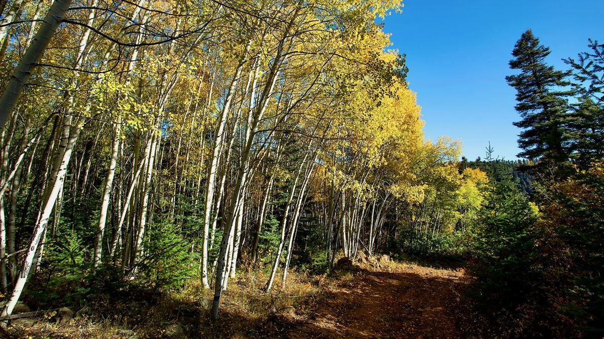 The Ranch at Angel Fire