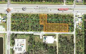 US-41 Commercial Land | Murdock Village