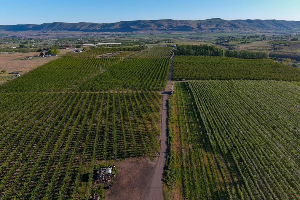 Benton Acord Orchard