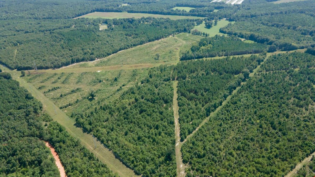 ±34 Acres | Salley, SC