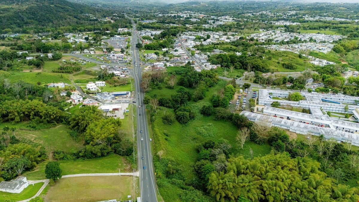 Prime Commercial Land in San Sebastian with Frontage To PR-111 - For Sale