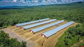 Mena AR Broiler Chicken Farm