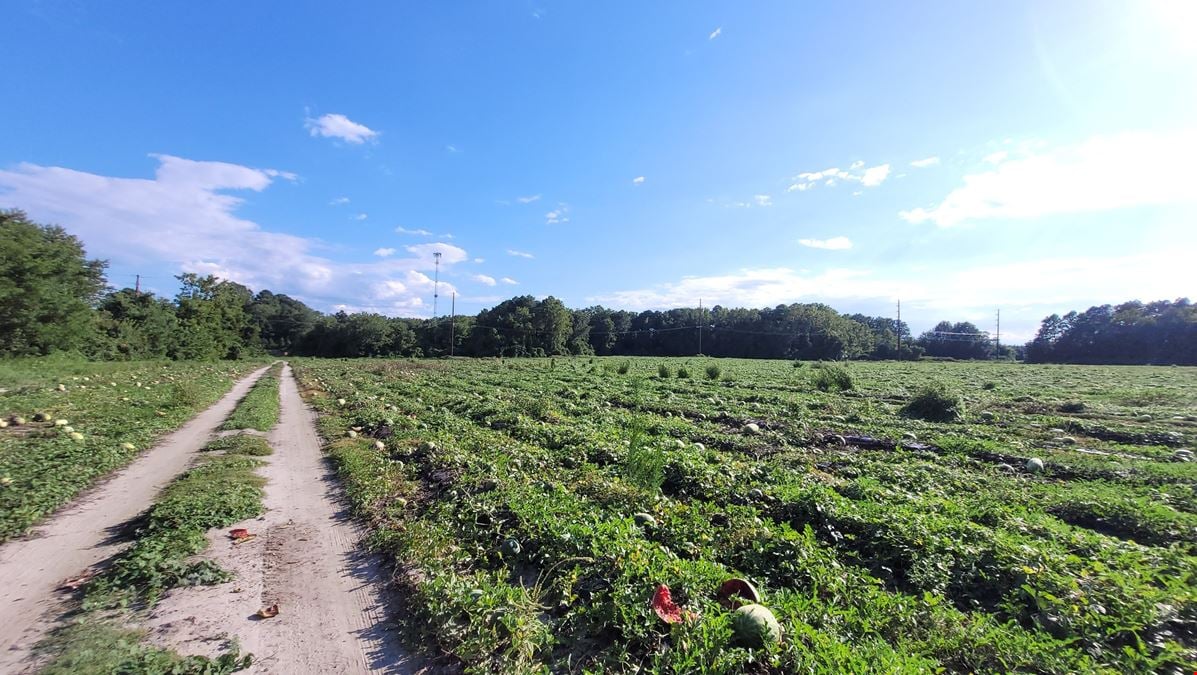 9.51 Acre Parcel off American Legion Road
