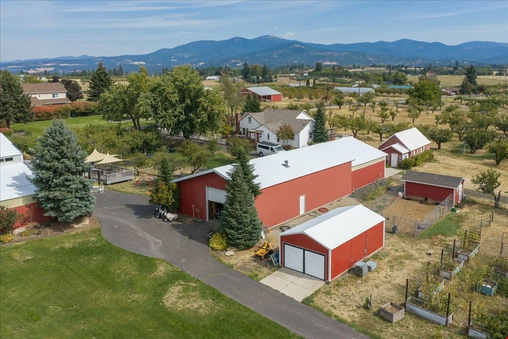 High Country Orchard