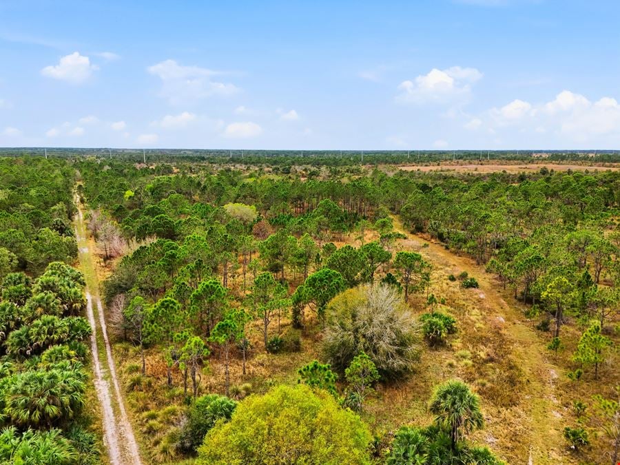 Bluefield Ranch Hunting Preserve