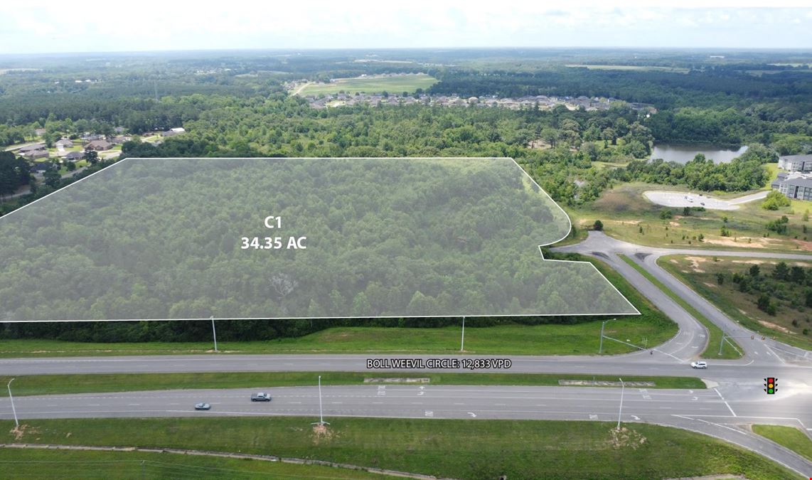 Camellia Commons- Land Available for Sale/Lease