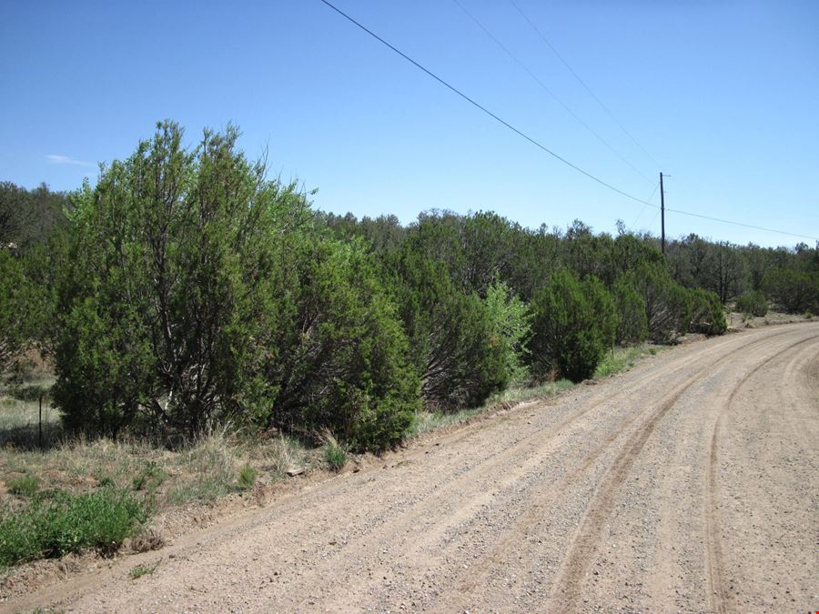 156 Jesse James Rd