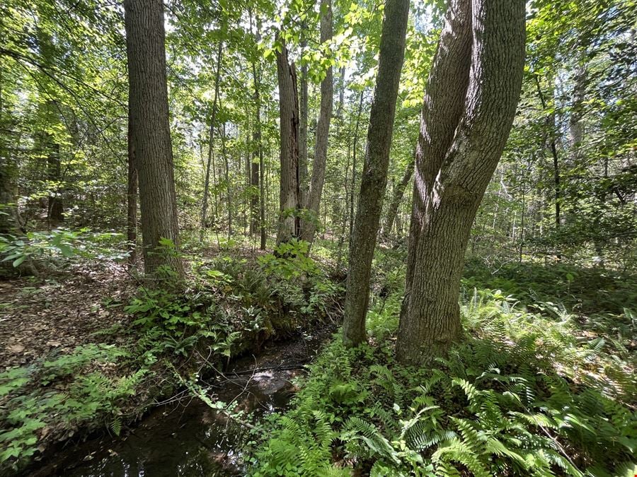 Goochland Land