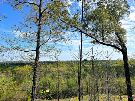 Preview of VacantLand space for Sale at County Road 56