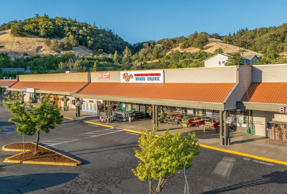 Valley View Plaza