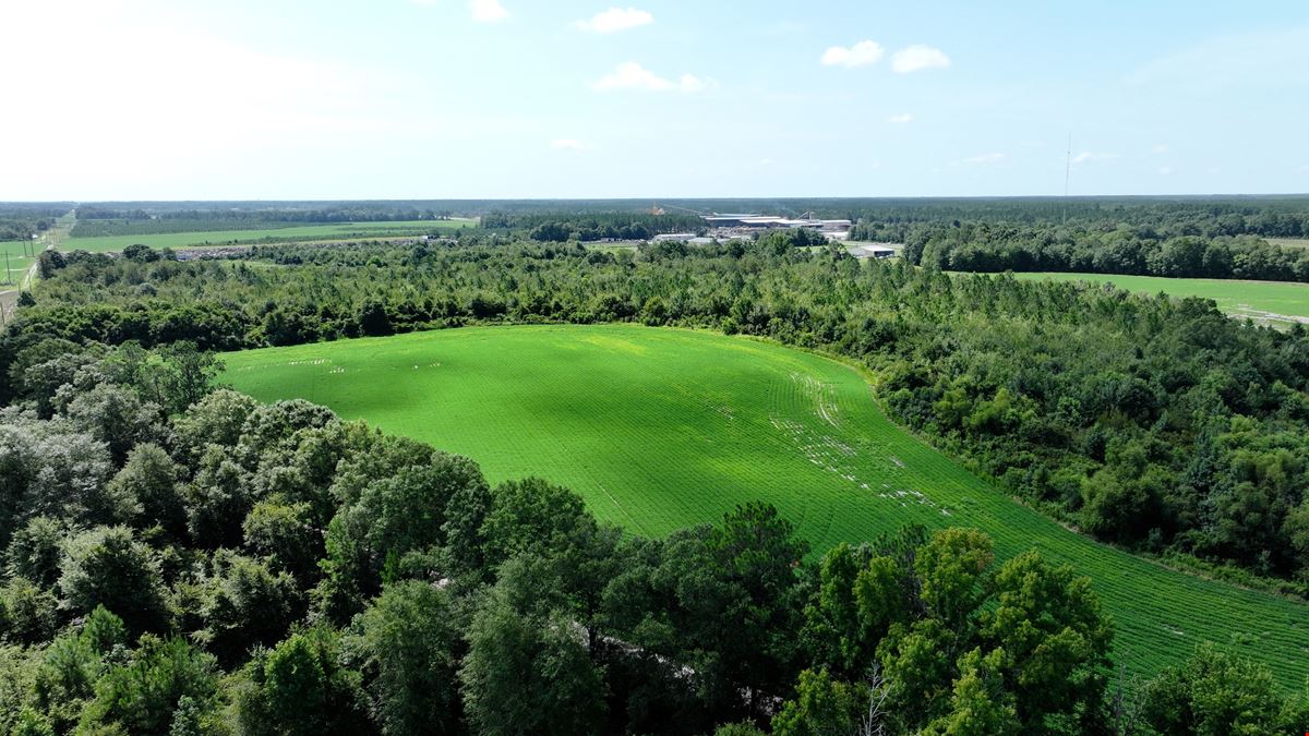 214 acres of Development Land in Hazlehurst, GA