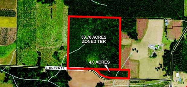 43.92 Acre Timber Investment Opportunity