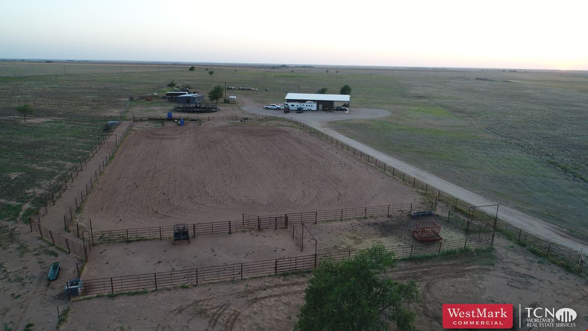 West Texas Horse Property/Cattle Operation Investment Opportunity