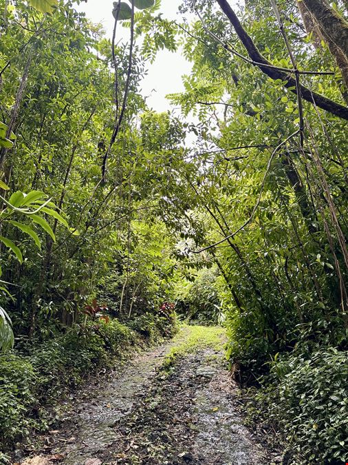 Hana Highway, Hana, HI 96713