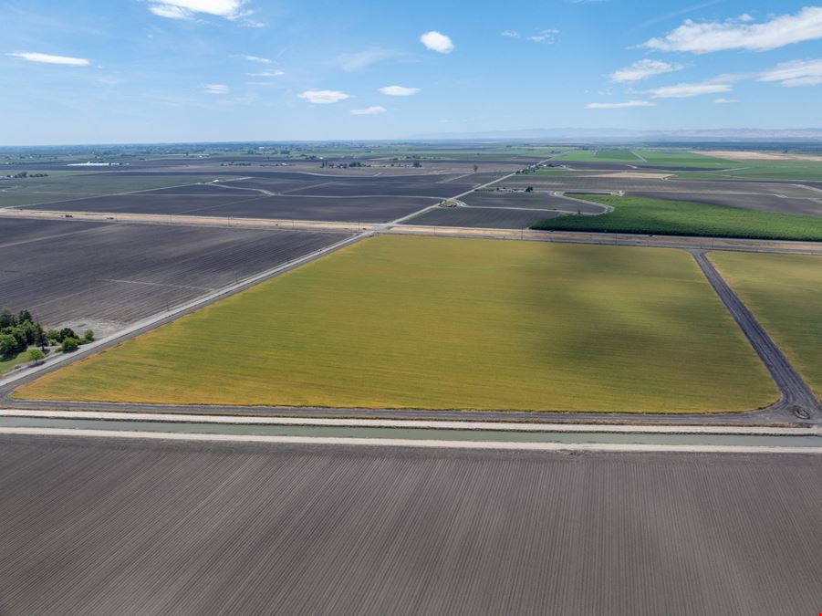 85.96 Acres || Agricultural Land || Dos Palos